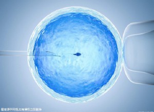 万级层流胚胎实验室